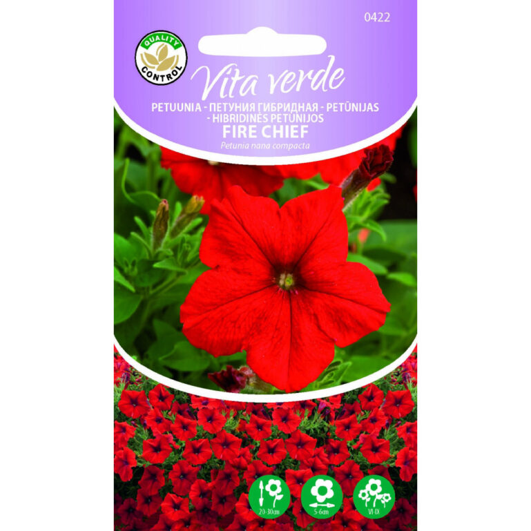 Petuunia Fire Chief Petunia nana compacta