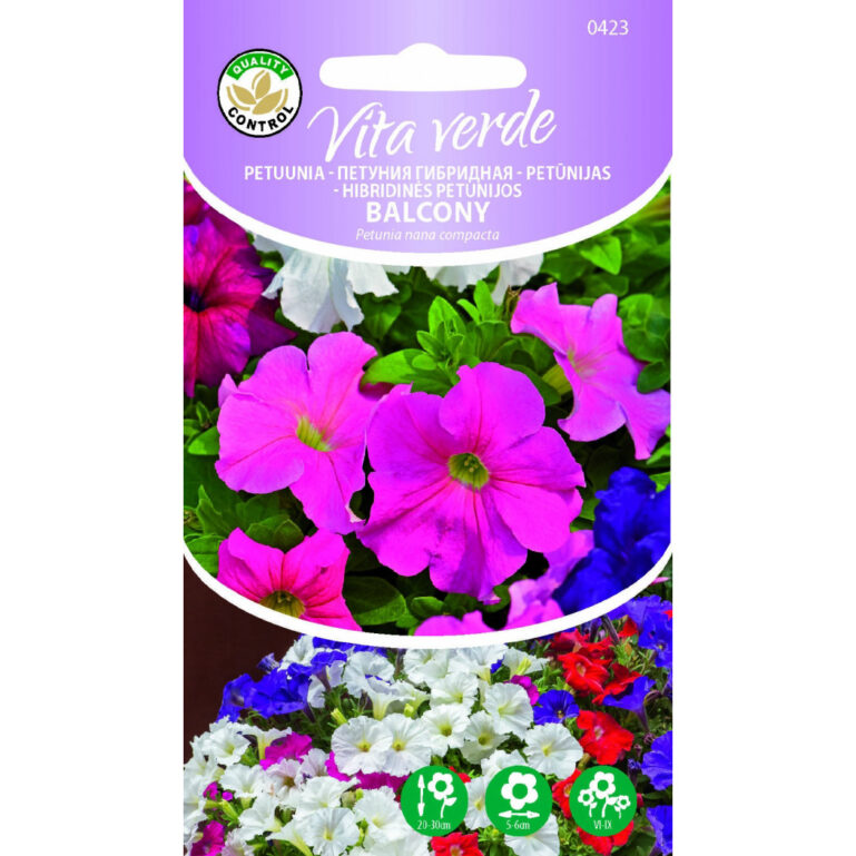 Petuunia Balcony mix Petunia x hybrida