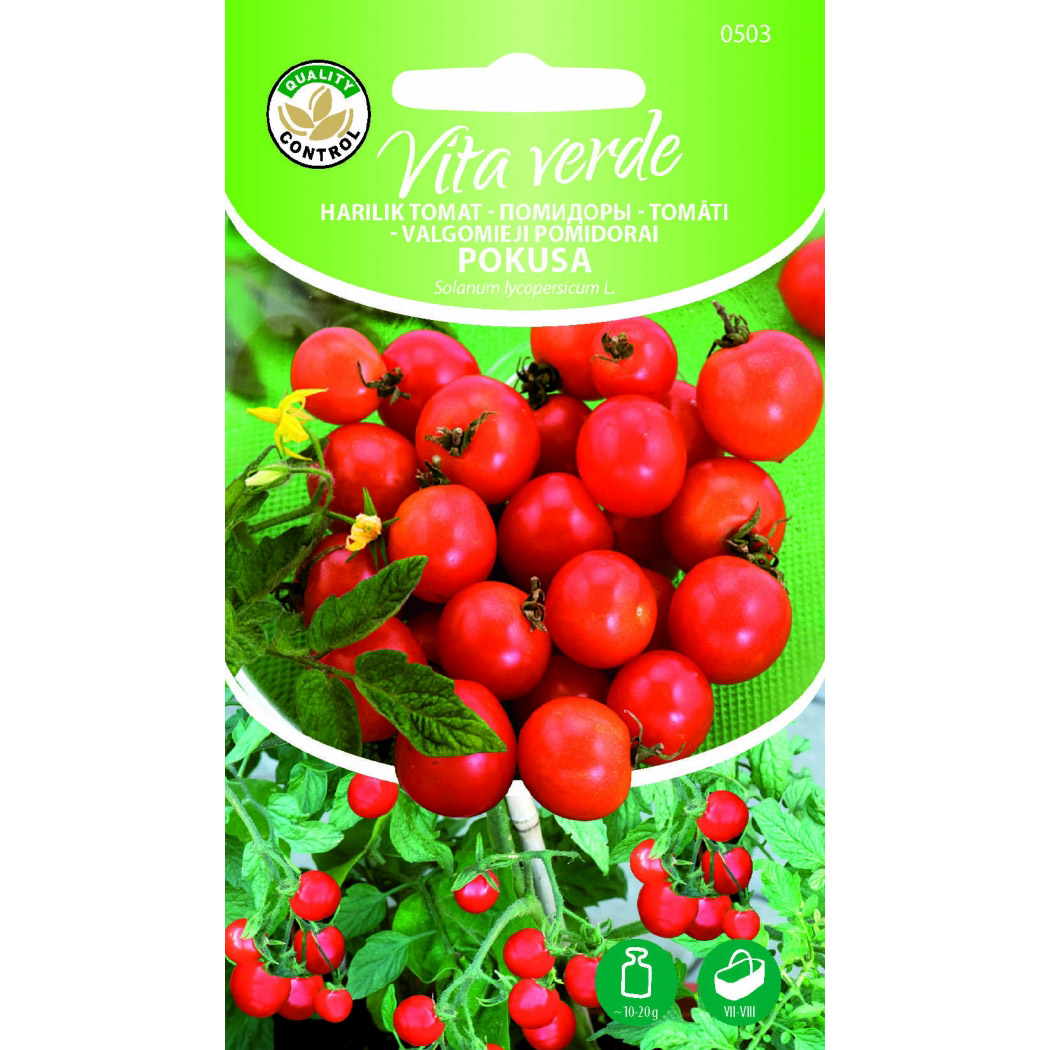 Tomat Pokusa Lycopersicon esculentum Mill.