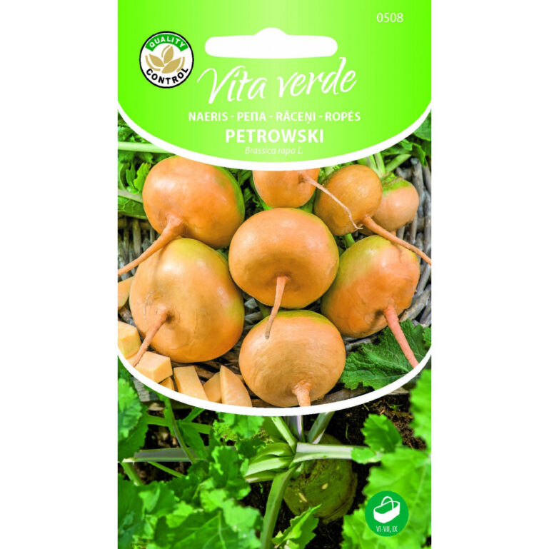 Naeris Petrowski Brassica rapa L.