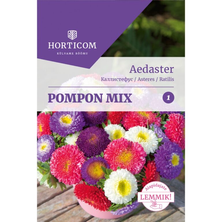 AEDASTER POMPON MIX 1G HORTICOM