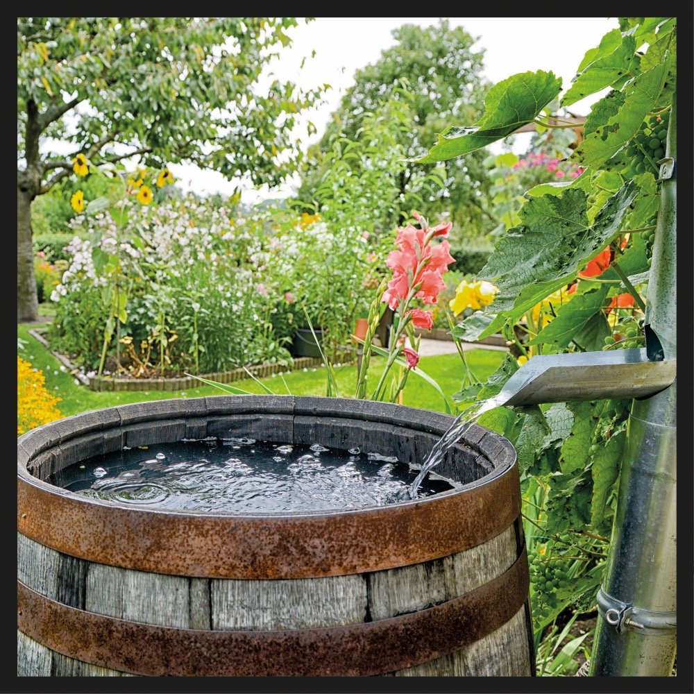 AKUSURVEPESUR EINHELL HYPRESSO 18/24-1 LI SOLO - Image 11