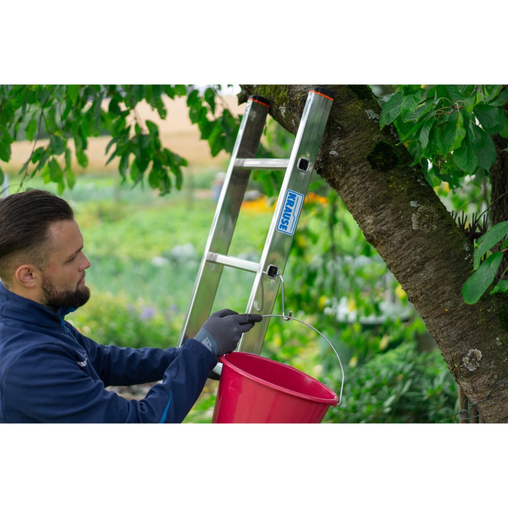 ÄMBRIHOIDIK REDELILE KRAUSE - Image 5