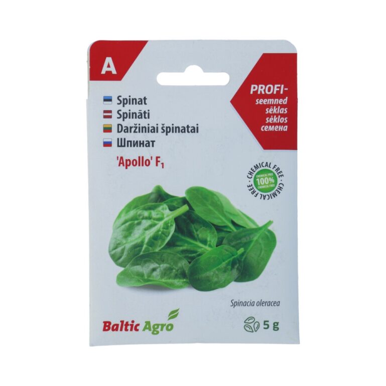 SPINAT APOLLO 5G BALTIC AGRO