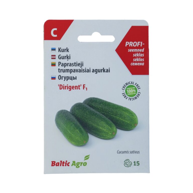 KURK DIRIGENT F1 BALTIC AGRO