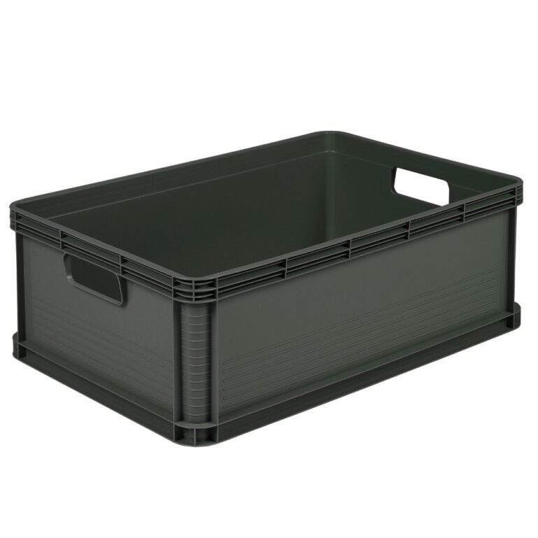 SÄILITUSKAST ROBERT 45L 60*40*22CM GRAFIIT