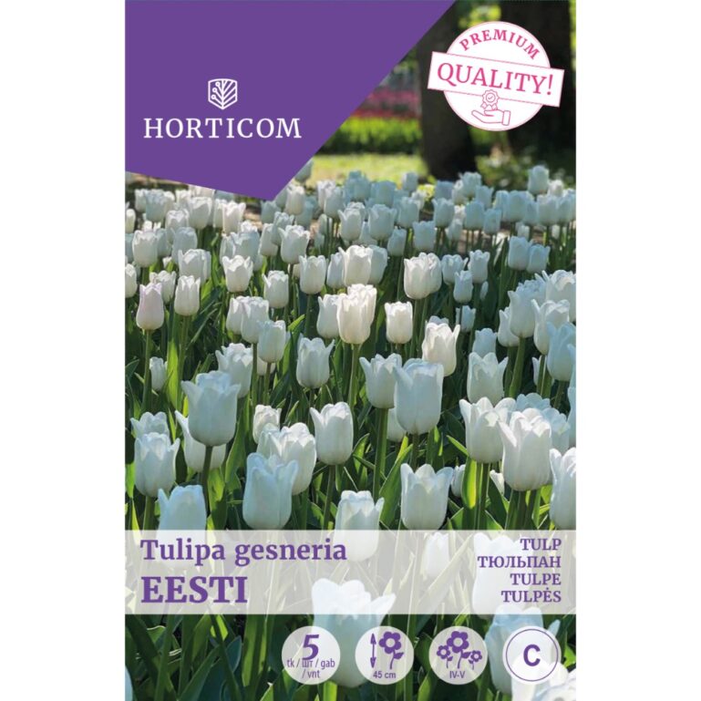 TULP EESTI (TRIUMPH) 5TK C