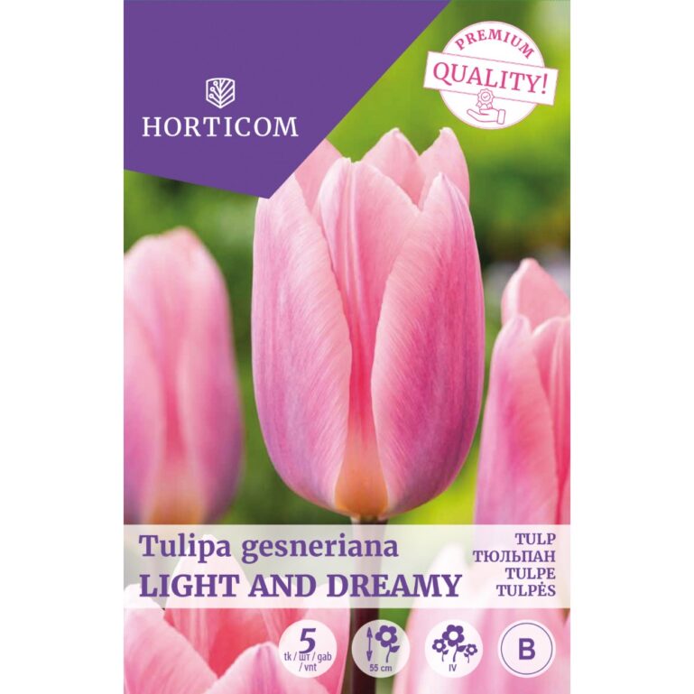 TULP LIGHT AND DREAMY 5TK B