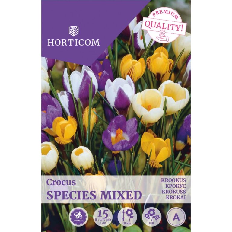 KROOKUS SPECIES MIX 15TK A