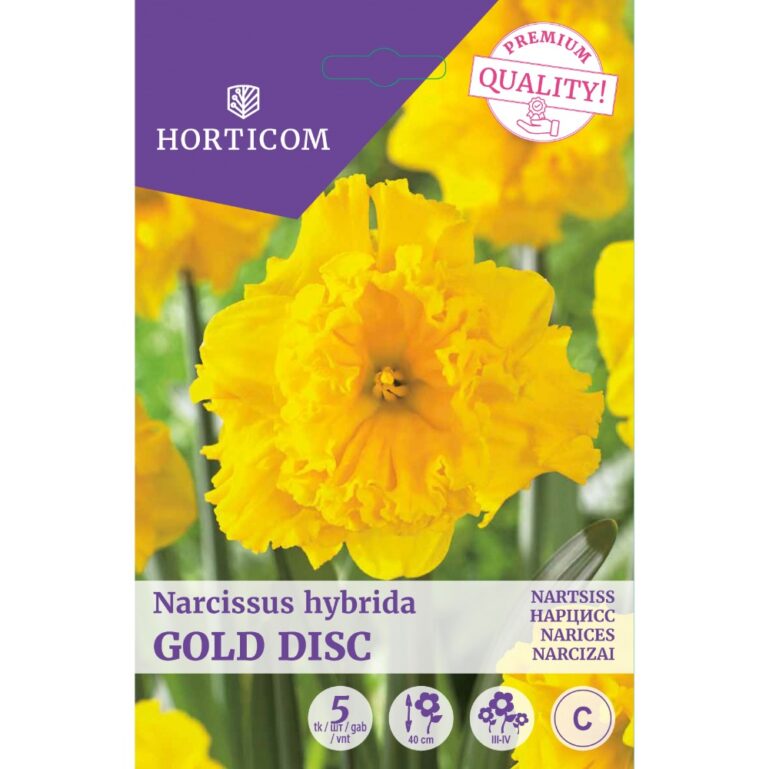 NARTSISS GOLD DISC 5TK C