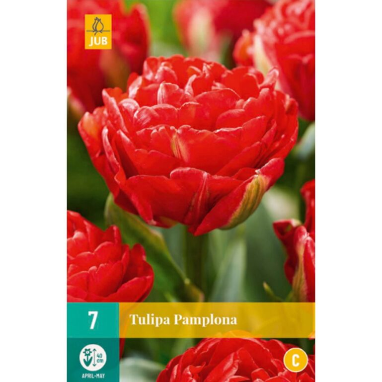 TULP PAMPLONA 7TK C