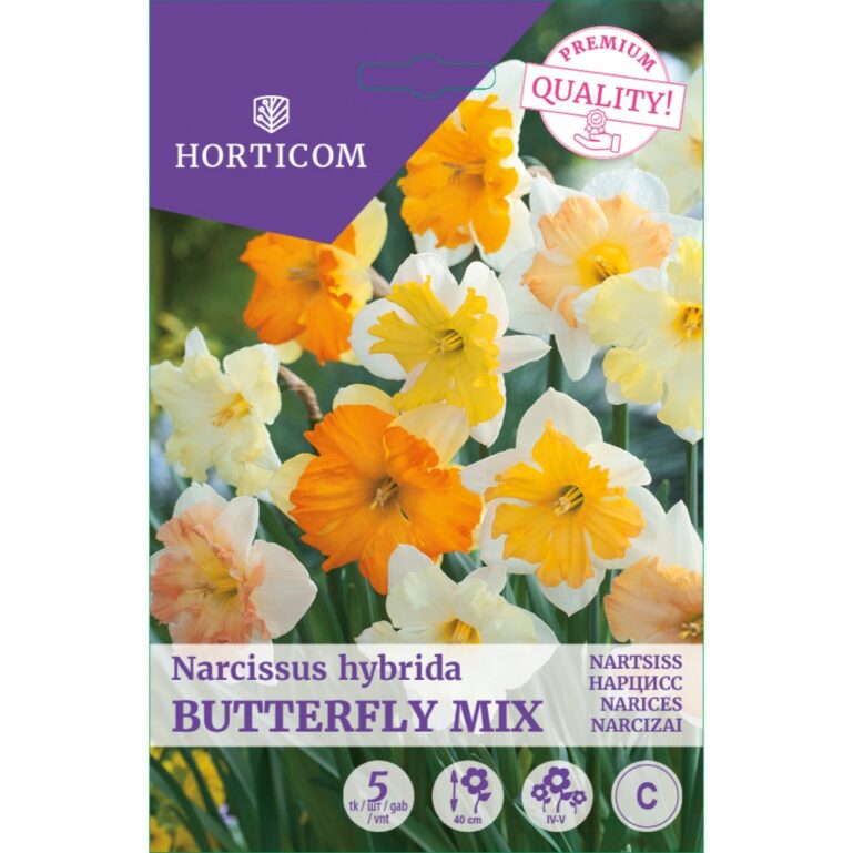NARTSISS BUTTERFLY MIX 5TK C