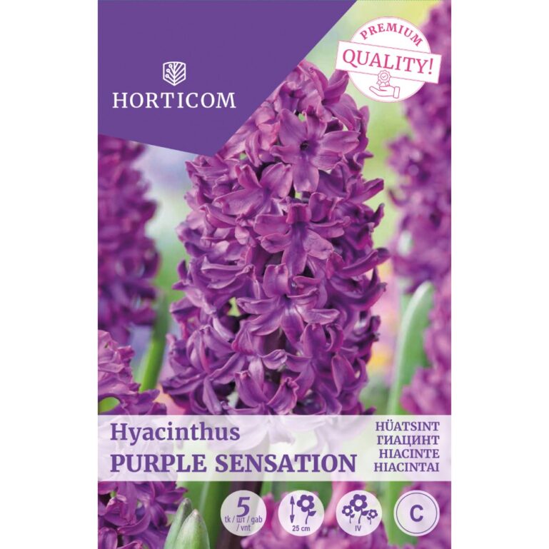 HÜATSINT PURPLE SENSATSION 5TK C