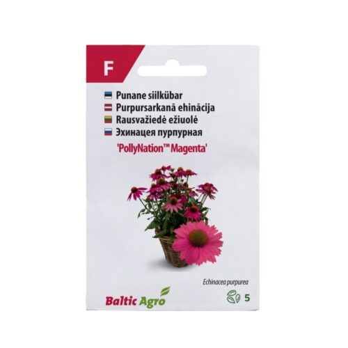 SIILKÜBAR POLLYNATION MAGENTA BALTIC AGRO