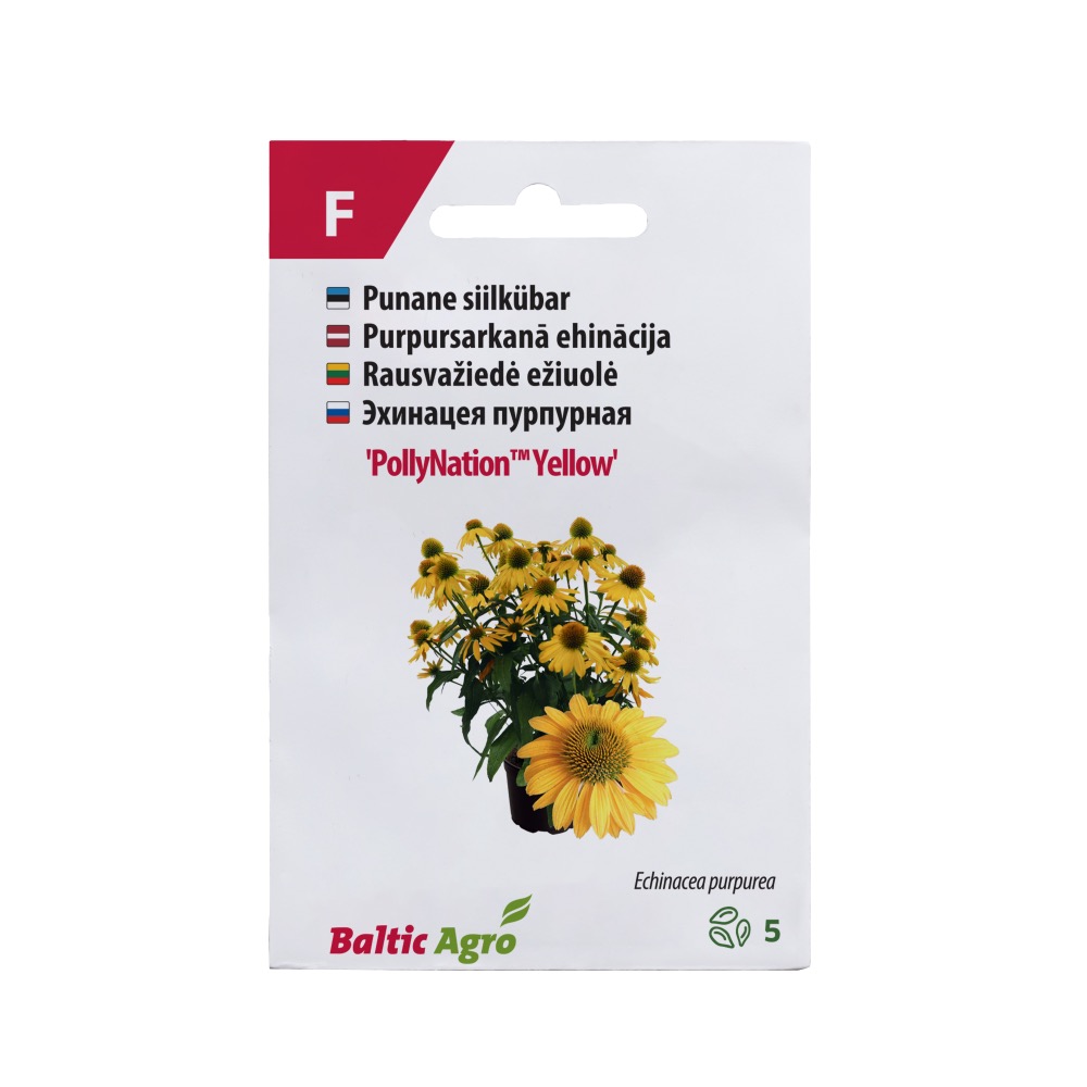 SIILKÜBAR POLLYNATION YELLOW BALTIC AGRO