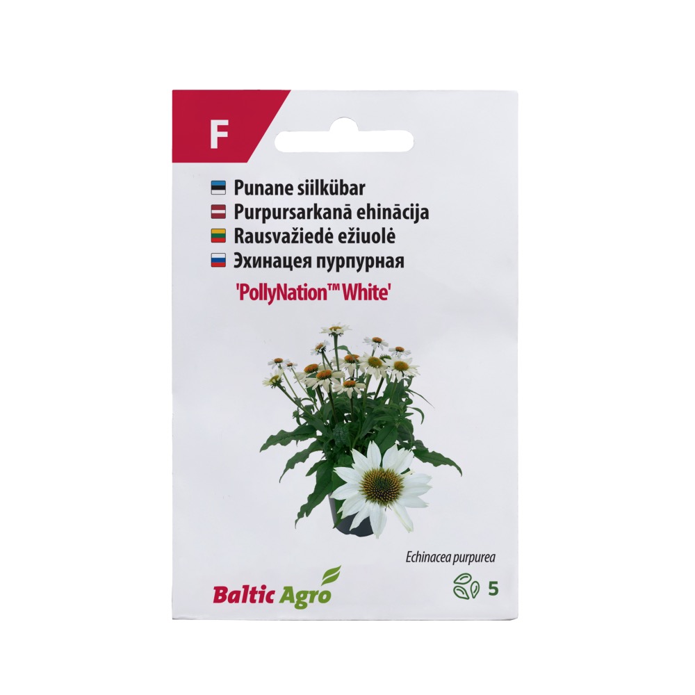 SIILKÜBAR POLLYNATION WHITE BALTIC AGRO