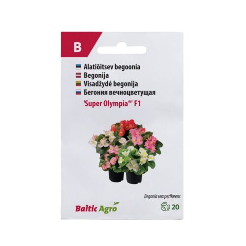 BEGOONIA SUPER OLYMPIA BALTIC AGRO