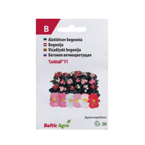 BEGOONIA COCTAIL BALTIC AGRO