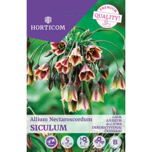 LAUK ALLIUM NECTAROSCORDUM SICULUM 5TK
