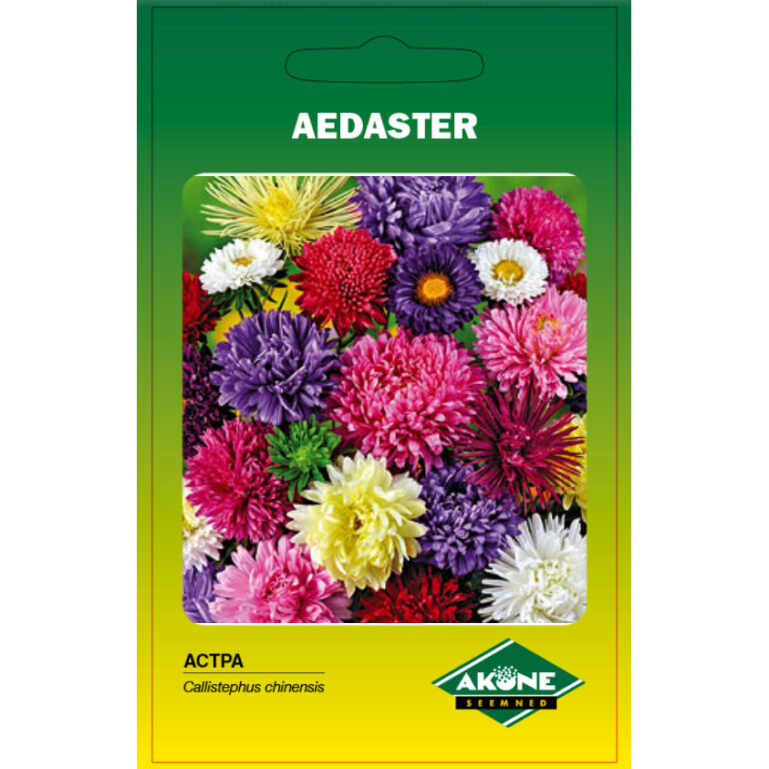 AEDASTER