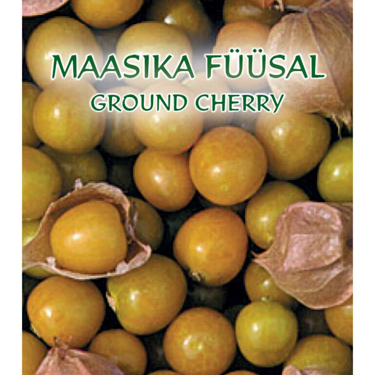 FÜÜSAL