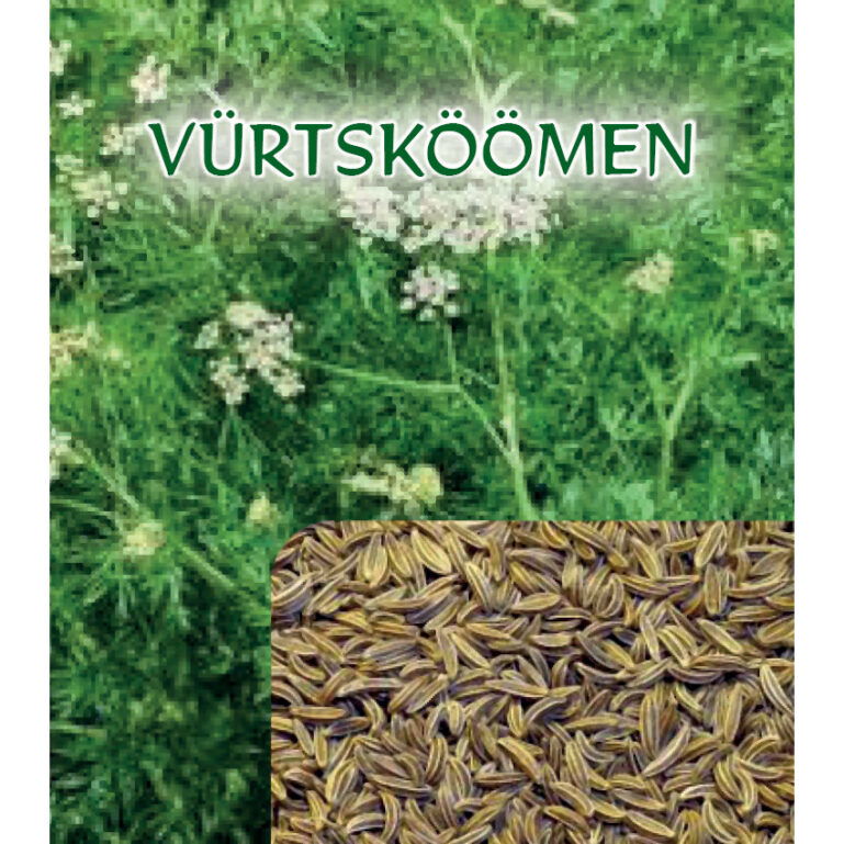 VÜRTSKÖÖMEN