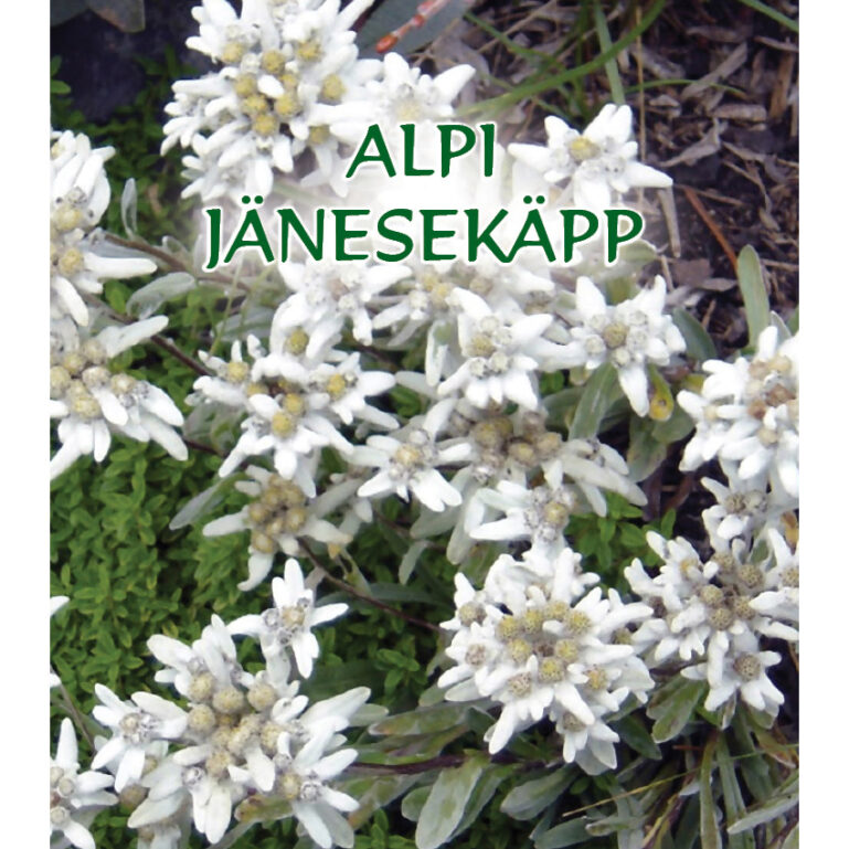 ALPI JÄNESEKÄPP