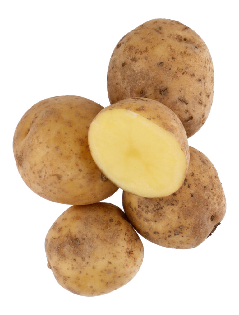 SEEMNEKARTUL JÕGEVA KOLLANE BALTIC AGRO 5KG
