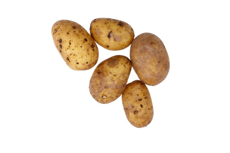 SEEMNEKARTUL FLAVIA BALTIC AGRO 2,5KG